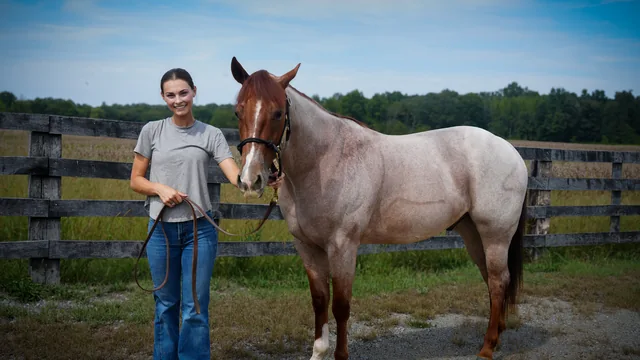 Mia standing beside a horse at a paddock fence.
