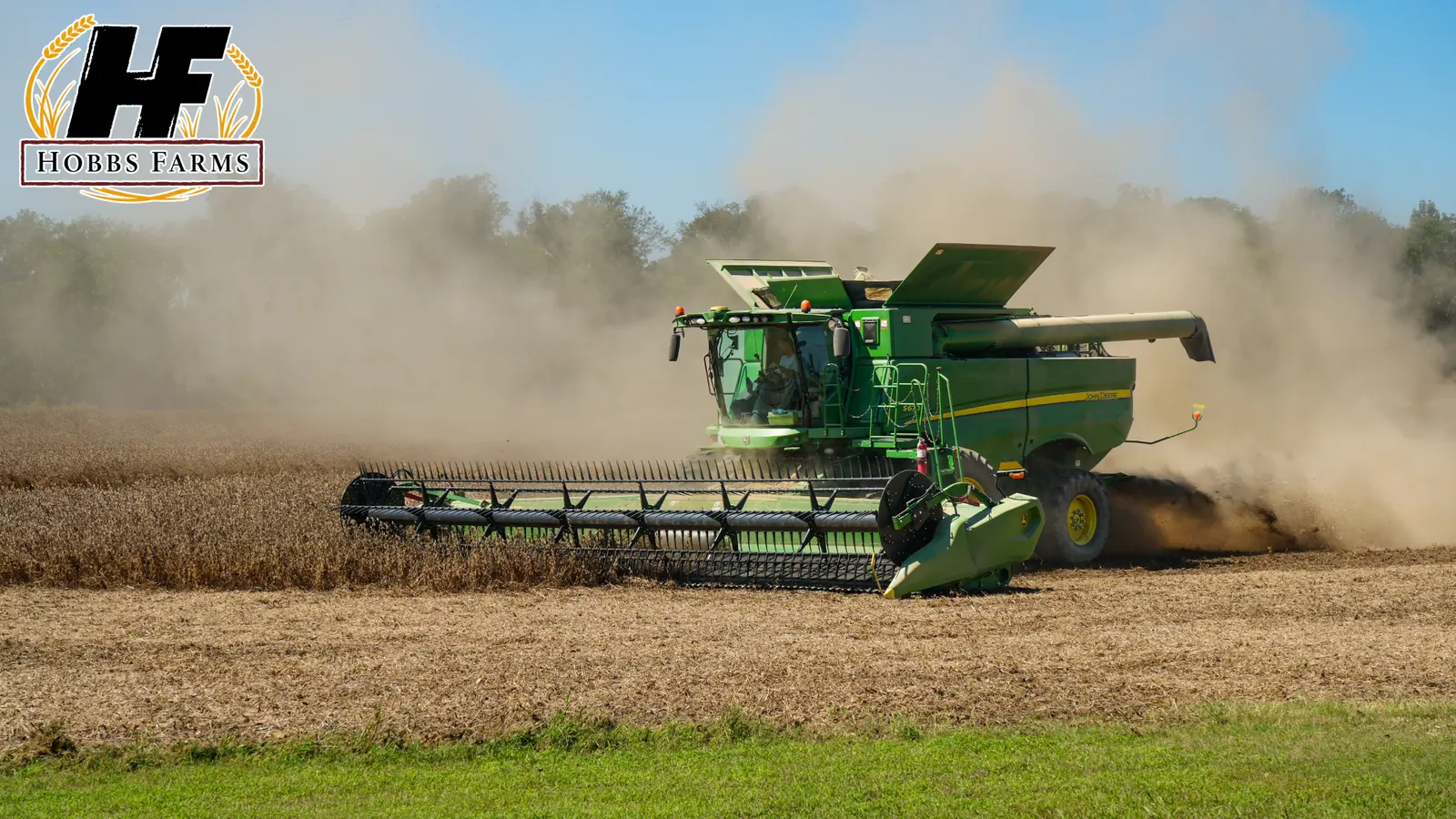 A Hobbs Farms combine harvesting a field, with the farm logo.